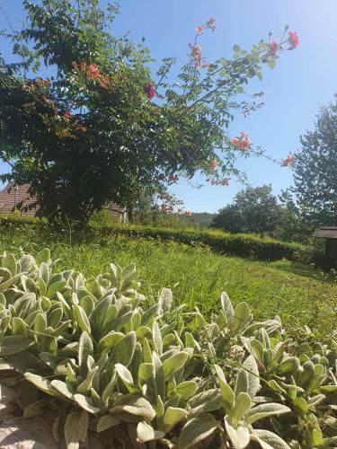 صورة الفندق 7