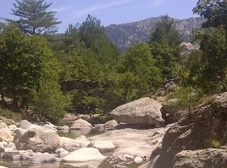 صورة الفندق 16
