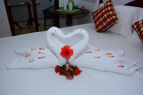 صورة الفندق 16