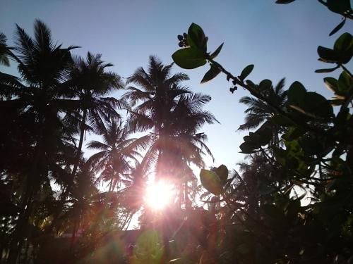 صورة الفندق 4