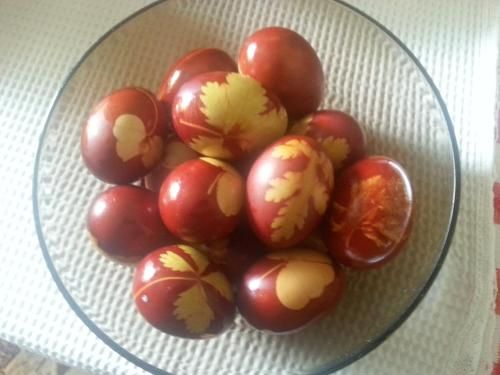 صورة الفندق 16