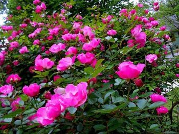 صورة الفندق 20