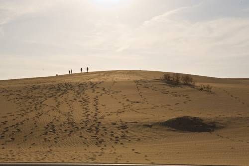 صورة الفندق 19