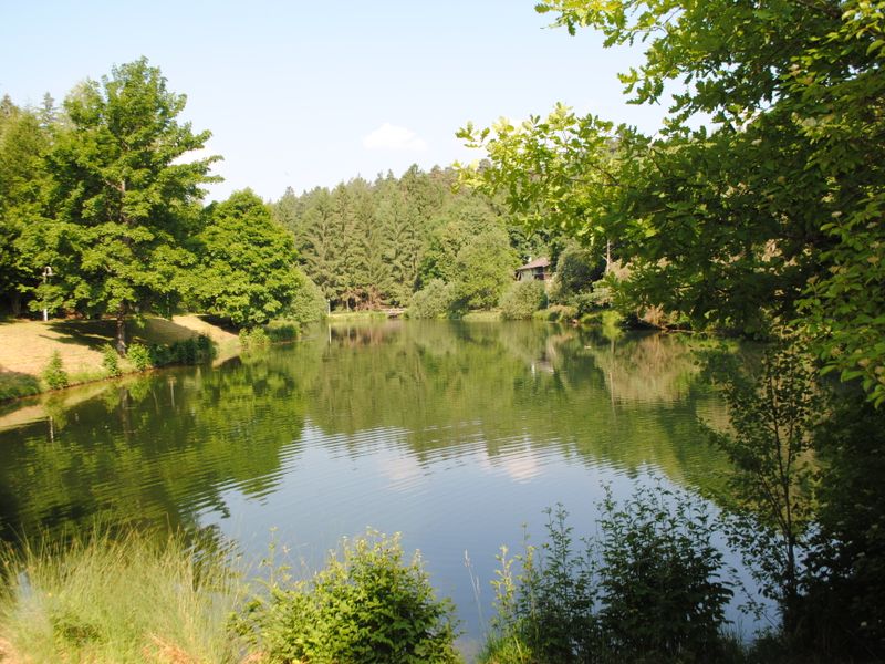 صورة الفندق 16