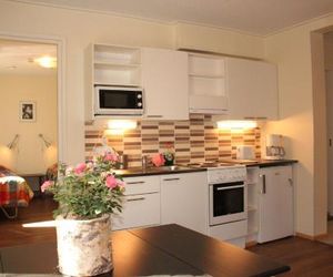 Hotel Aakenus Holiday Home Kokki Rovaniemi Finland