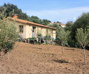 CASEDDU A VIGNA SARTENE Propriano France