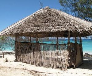 Chumbe Island Coral Park Zanzibar Island Tanzania