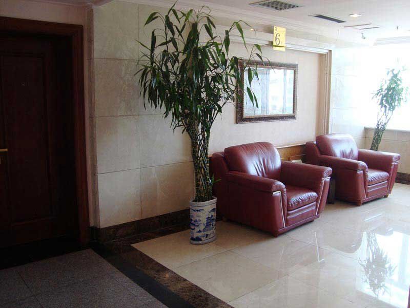 صورة الفندق 4