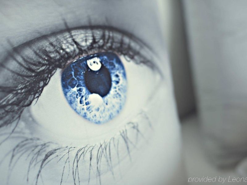 صورة الفندق 16