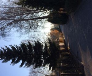 Guest house Lavanda Svetlogorsk Russia