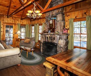 Abes Amazing Cabin 1421 by RedAwning Big Bear Lake United States