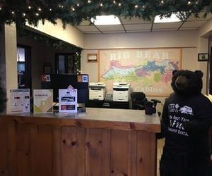 Honey Bear Big Bear Lake United States