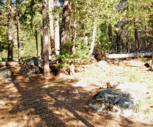 RedAwning Cabin #17C New Beginnings Wawona United States