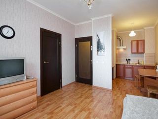 Сутки Петербург Аллея Пулковская