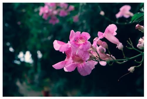صورة الفندق 19