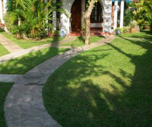 Villa Tropical Forest Hikkaduwa Sri Lanka