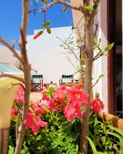 صورة الفندق 16