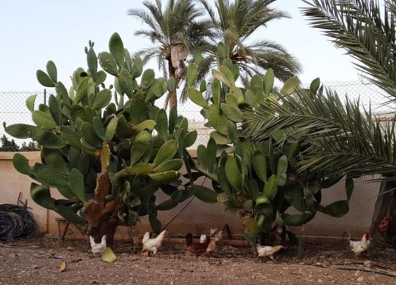 صورة الفندق 20