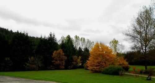 صورة الفندق 21