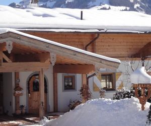 Fewo Apartment Weinberg Kirchberg Austria