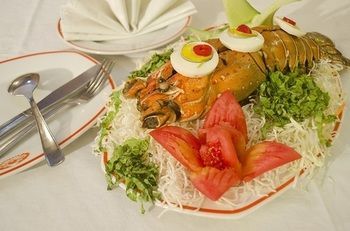 صورة الفندق 16