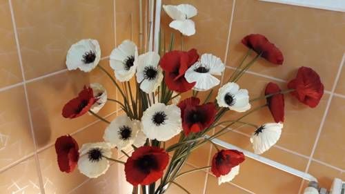 صورة الفندق 18