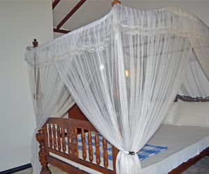 DANDELION - Palitha Guest House Unawatuna Sri Lanka