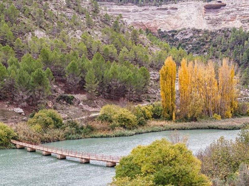 صورة الفندق 1