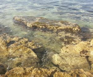 Bed Breakfast la Stella Marina Marina di Mancaversa-Giannelli Italy