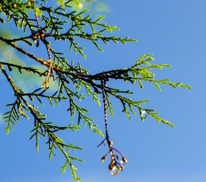 صورة الفندق 19