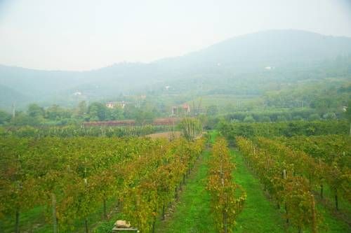 صورة الفندق 12