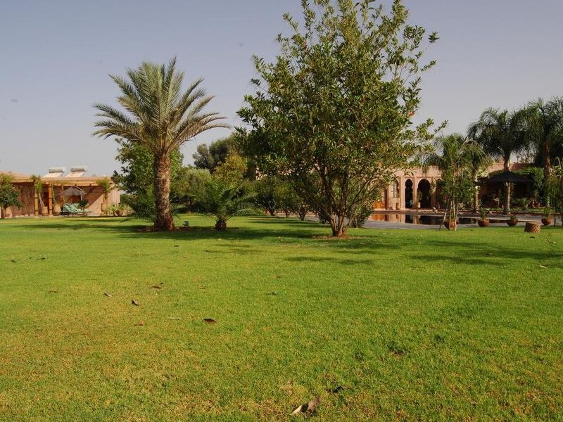 صورة الفندق 21