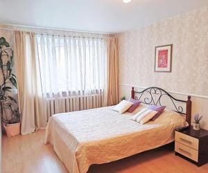 Apartment on Uglichskaya 24А Yaroslavl Russia