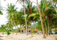 Отзывы Kiki Coconut Beach Resort