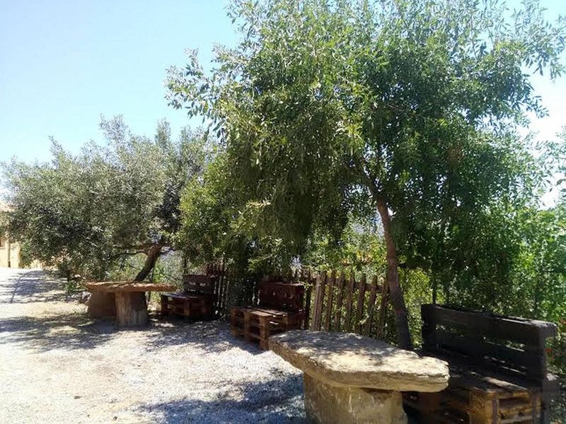 صورة الفندق 20