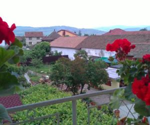 Apartament Sibiu Sibiu Romania