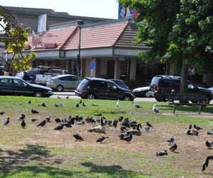 Americas Best Value Inn - Downtown Oakland/Lake Merritt Oakland United States