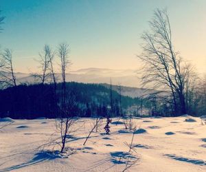 Apartmán 302 Oščadnica Oscadnica Slovakia