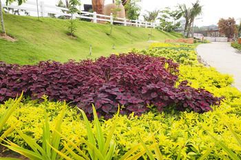 صورة الفندق 17