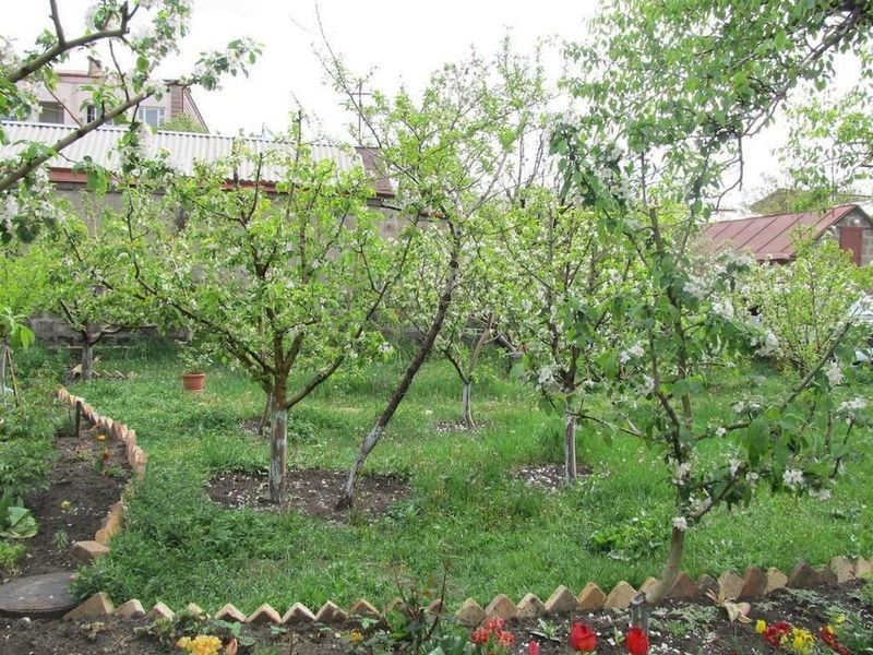 صورة الفندق 14