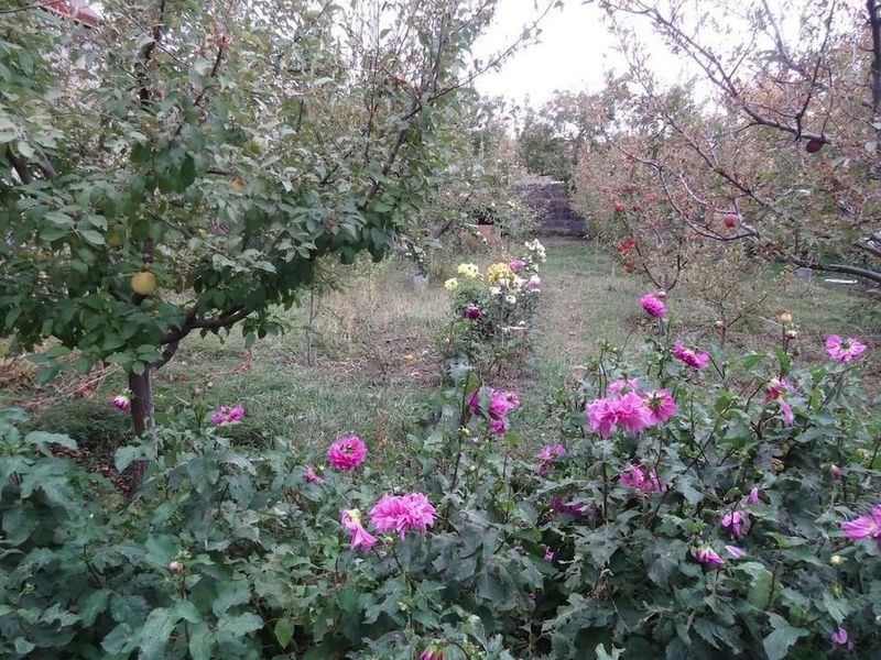 صورة الفندق 16