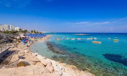 صورة الفندق 12