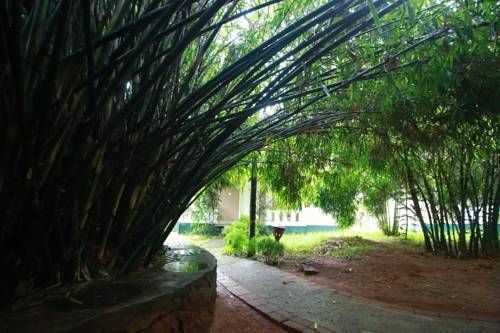 صورة الفندق 19