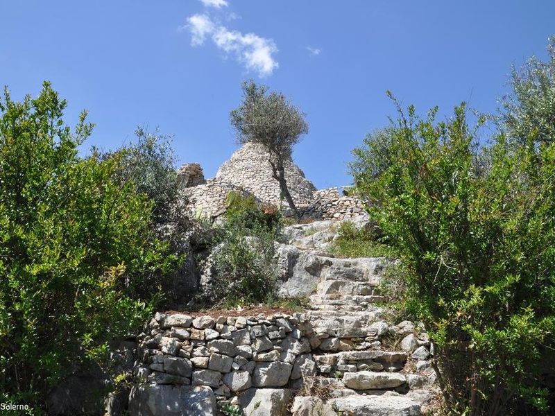 صورة الفندق 24