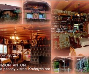 Restaurant Pension-Anton Jachymov Czech Republic