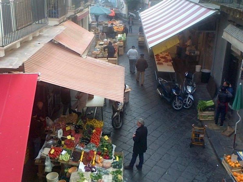 صورة الفندق 14