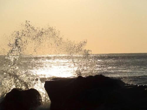 صورة الفندق 8