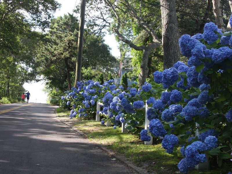 صورة الفندق 23