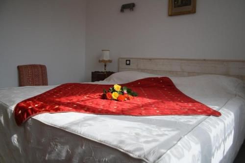 صورة الفندق 16
