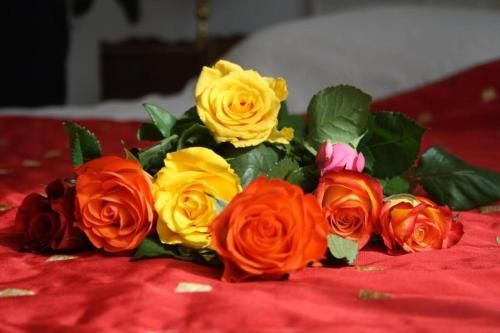 صورة الفندق 17